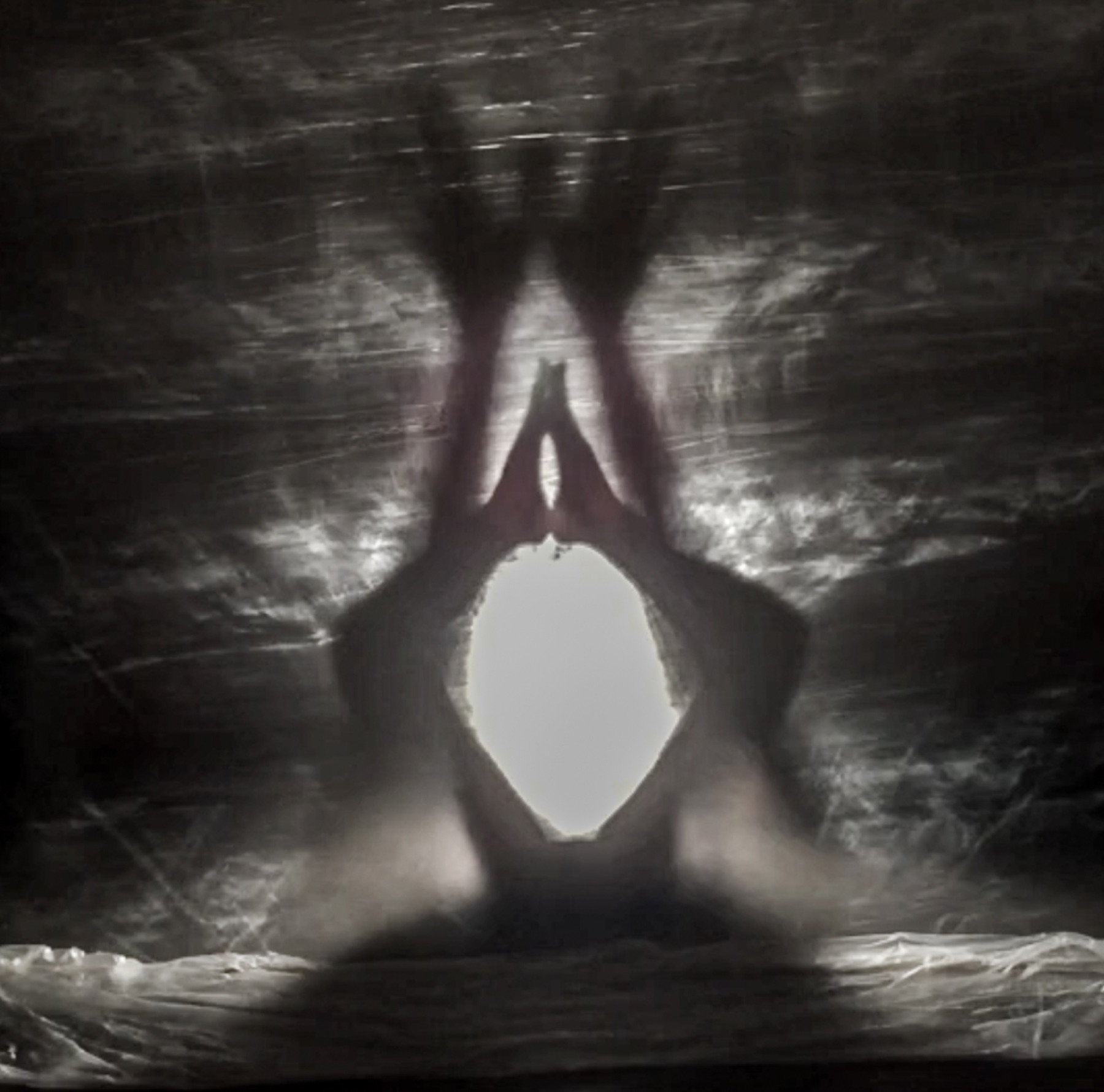 Inverted figure against the illuminated membrane